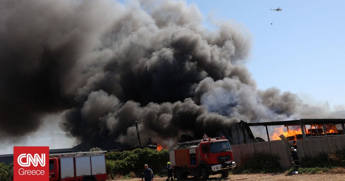 Μεγάλη πυρκαγιά στην Ασωπία Βοιωτίας κοντά στα Οινόφυτα